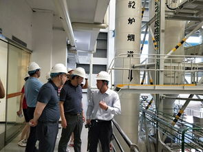 高新區(qū)赴深調研深能環(huán)保垃圾處理